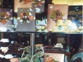 vetrina-autunno-06